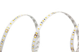 24v warm white LED strip. Living room LED strip lighting ideas - Warm white bright LED strip - ideal for lounge or bedroom lighting. LS24-98 is a great choice of lighting for lounges, hall ways, lanterns and the like.  Purchase today for next business day delivery or call us to discuss your requirements - we offer a free of charge, no obligation design and quotation service.  02476 262 328. www.leadingled.co.uk