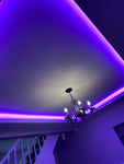 24v RGBW LED strip with natural white www.leadingled.co.uk